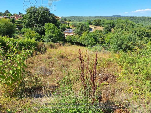 terreno agricolo in vendita a Bracciano