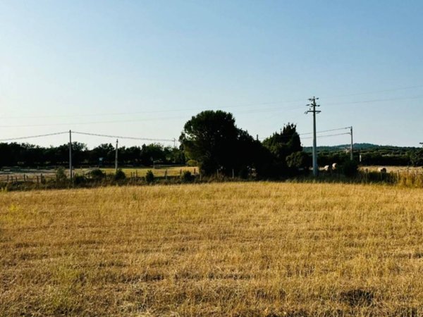 terreno agricolo in vendita a Bracciano in zona Castel Giuliano