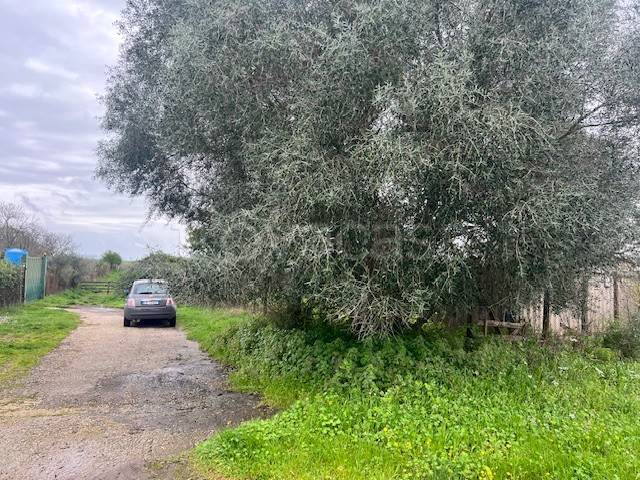 terreno agricolo in vendita a Bracciano