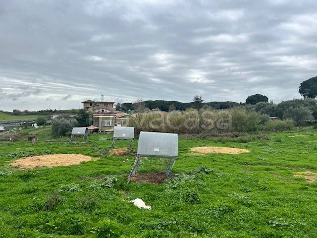 terreno agricolo in vendita a Bracciano