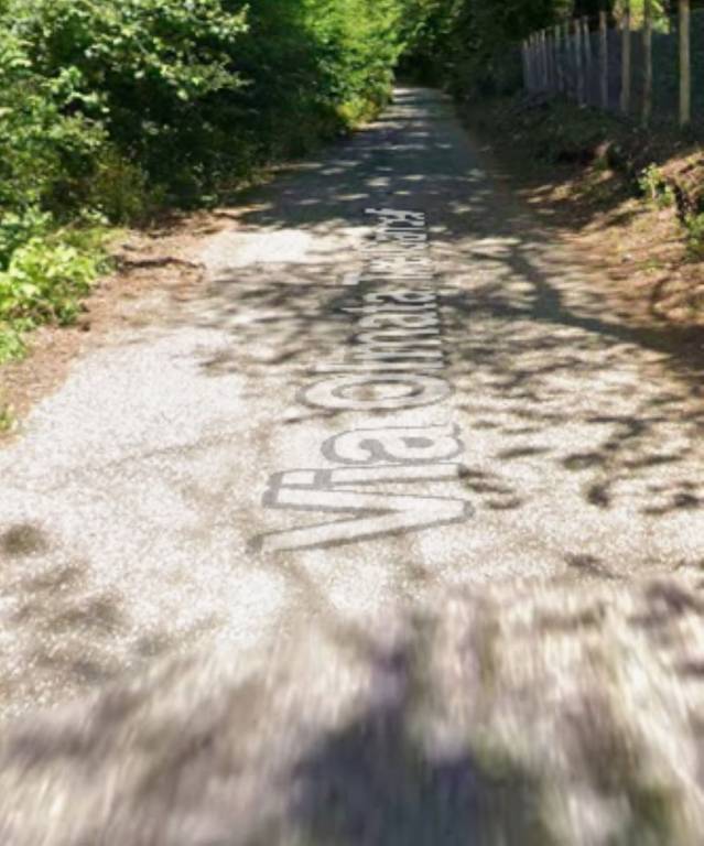 terreno agricolo in vendita a Bracciano in zona Pisciarelli