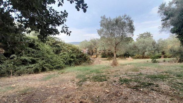 terreno agricolo in vendita a Bracciano in zona Pisciarelli