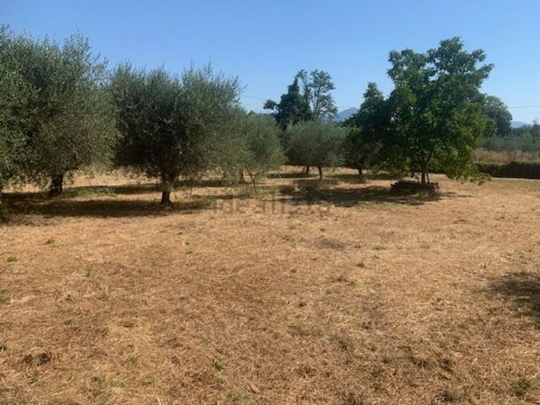 terreno agricolo in vendita a Bracciano