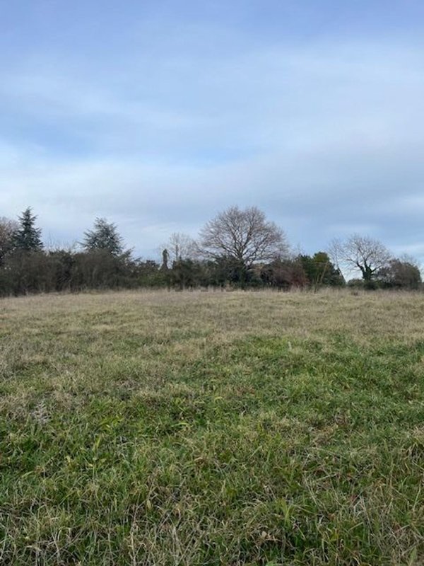 terreno agricolo in vendita a Bracciano