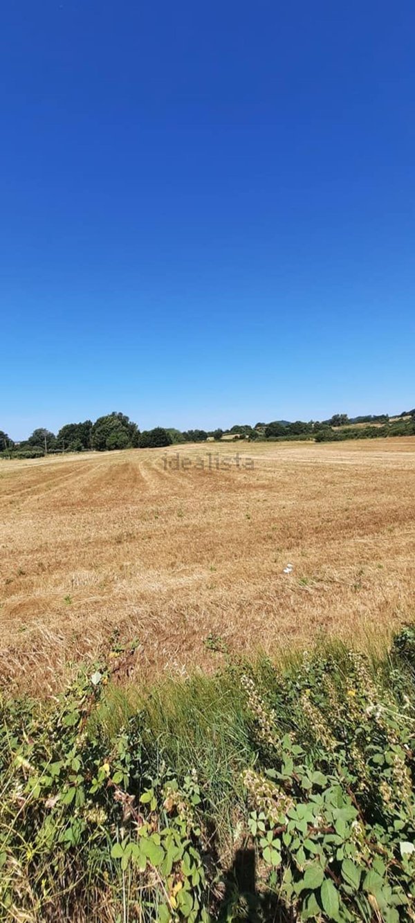 terreno agricolo in vendita a Bracciano