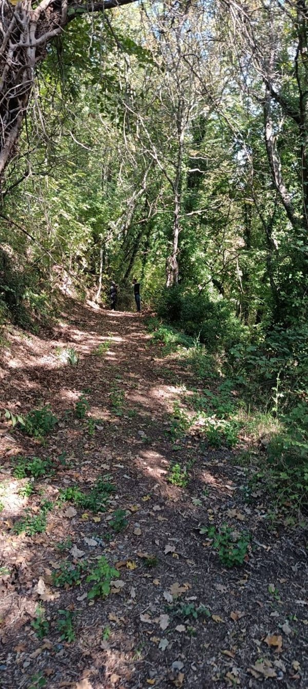 casale in vendita a Bracciano in zona Pisciarelli