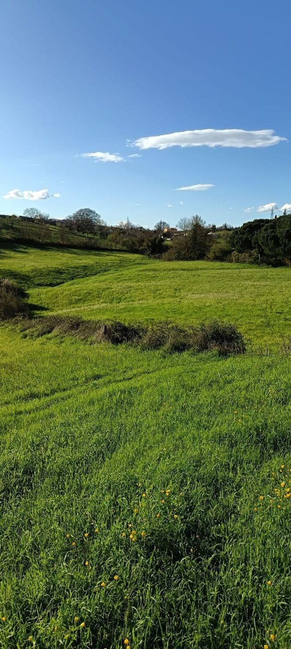 casa indipendente in vendita a Bracciano