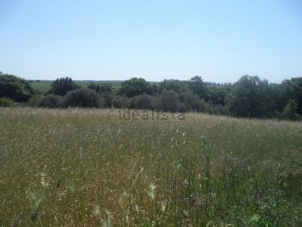 casa indipendente in vendita a Bracciano in zona Castel Giuliano