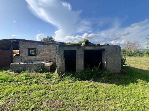 terreno agricolo in vendita a Bracciano