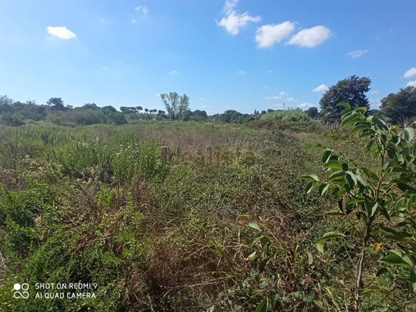 ufficio in vendita a Bracciano