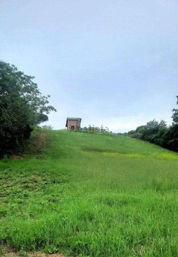 appartamento in vendita a Bracciano in zona Castel Giuliano