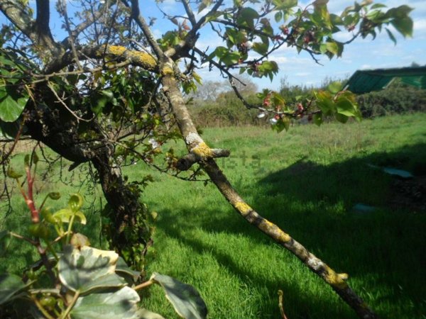 casa indipendente in vendita a Bracciano