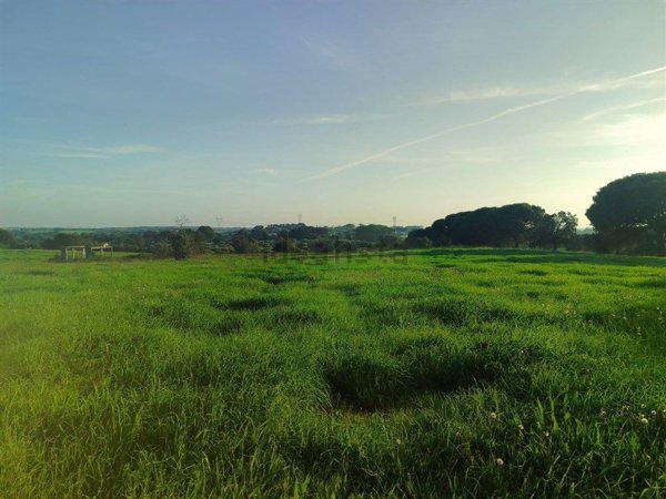 ufficio in vendita a Bracciano