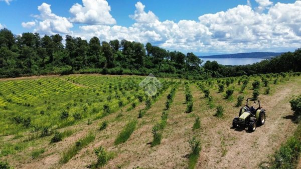 villa in vendita a Bracciano