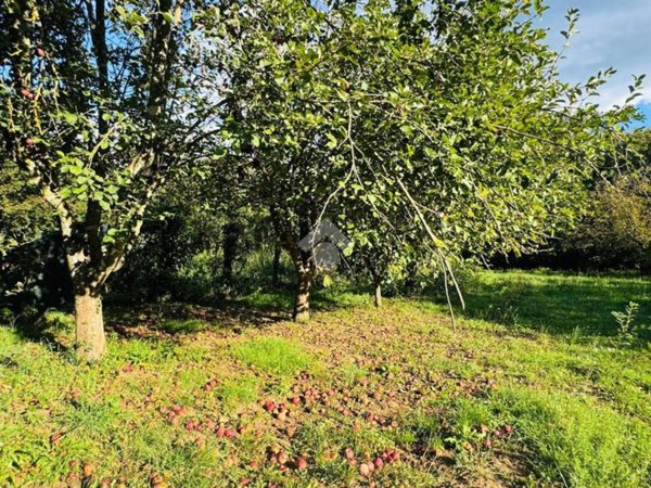 terreno agricolo in vendita a Bracciano in zona Pisciarelli