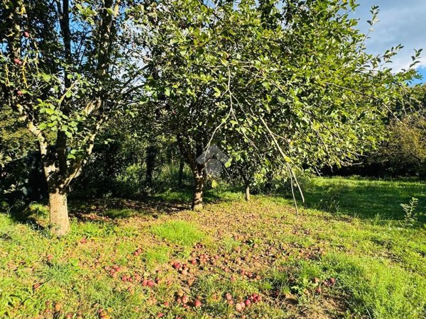 terreno agricolo in vendita a Bracciano in zona Pisciarelli