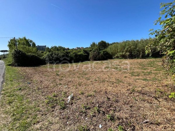 terreno agricolo in vendita a Bracciano