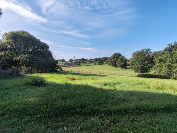 terreno agricolo in vendita a Bracciano in zona Castel Giuliano