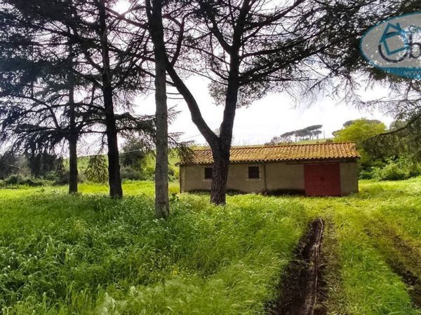casa indipendente in vendita a Bracciano in zona Castel Giuliano