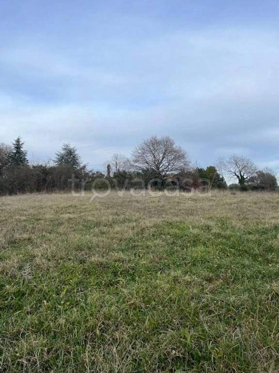 terreno agricolo in vendita a Bracciano