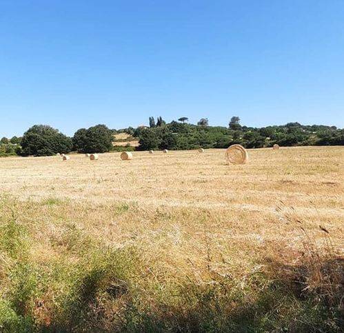 terreno agricolo in vendita a Bracciano