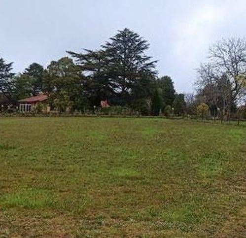 terreno agricolo in vendita a Bracciano