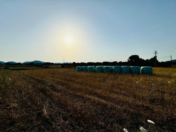 capannone in vendita a Bracciano in zona Castel Giuliano