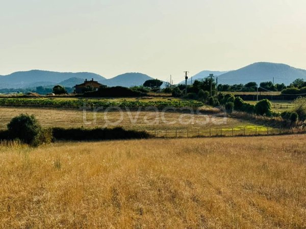 capannone in vendita a Bracciano in zona Castel Giuliano