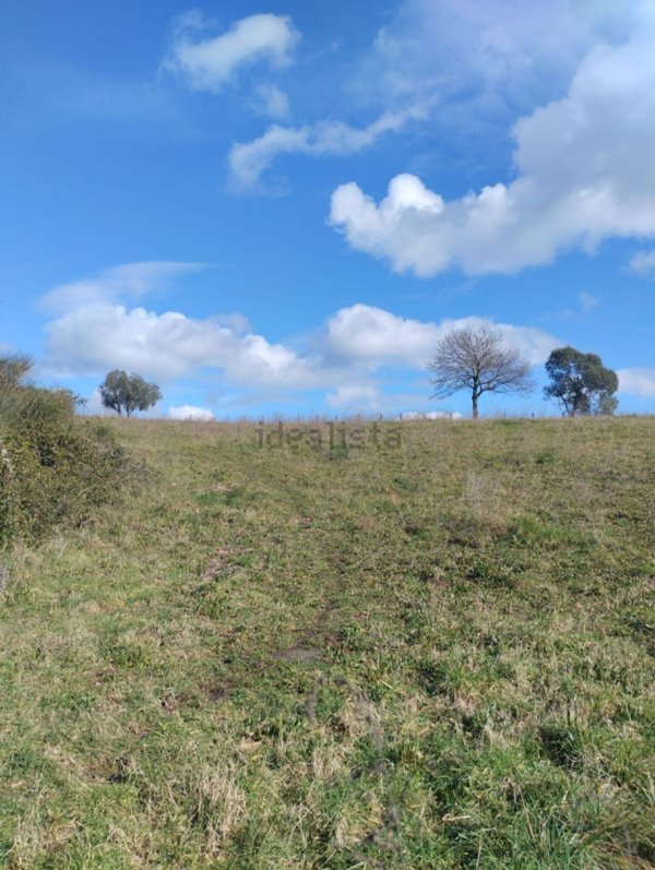 terreno agricolo in vendita a Bracciano