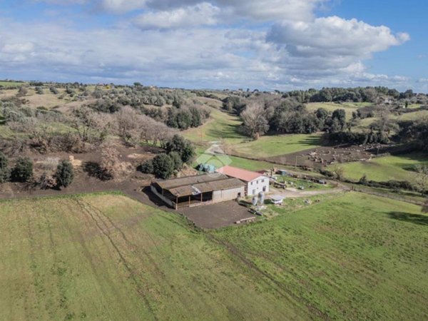 azienda agricola in vendita a Bracciano