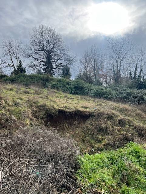 terreno agricolo in vendita a Bracciano in zona Pisciarelli