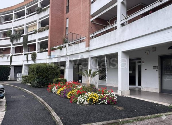 negozio in vendita a Bracciano