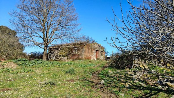 casa indipendente in vendita a Bracciano