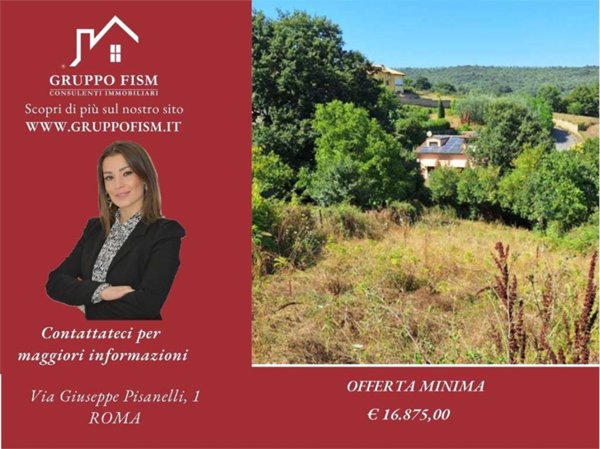 terreno agricolo in vendita a Bracciano in zona Pisciarelli