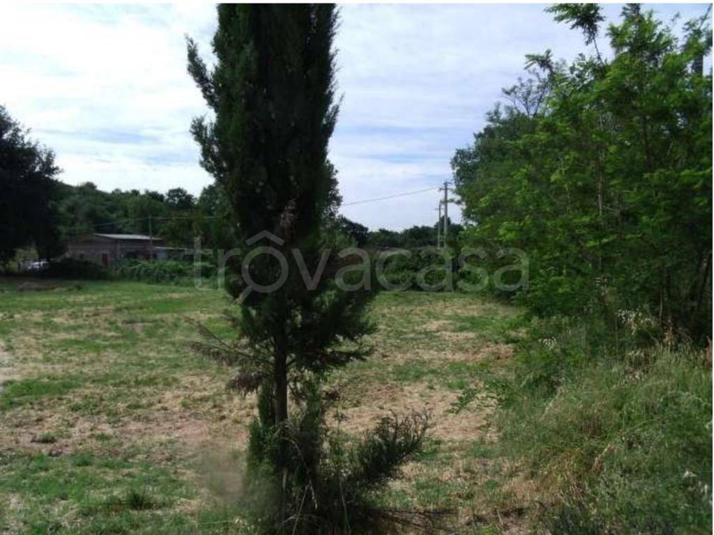 terreno agricolo in vendita a Bracciano