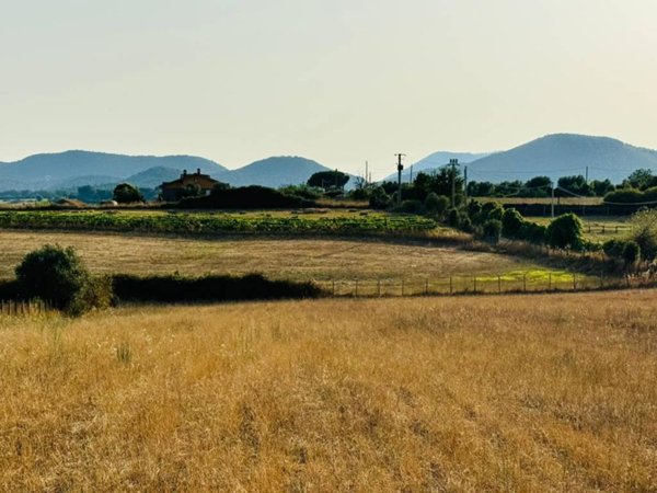 terreno agricolo in vendita a Bracciano in zona Castel Giuliano