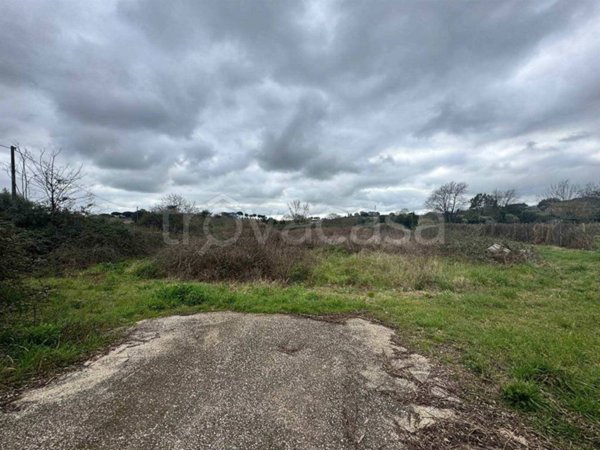 terreno agricolo in vendita a Bracciano