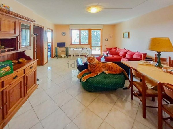 appartamento in vendita a Bracciano