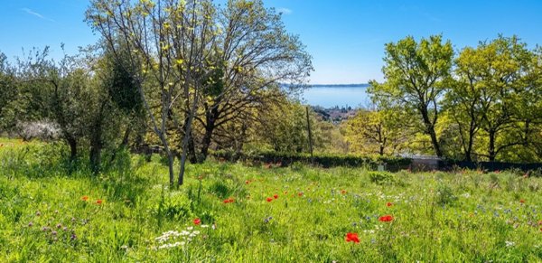 terreno agricolo in vendita a Bracciano