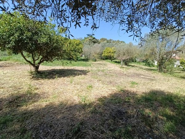 terreno agricolo in vendita a Bracciano