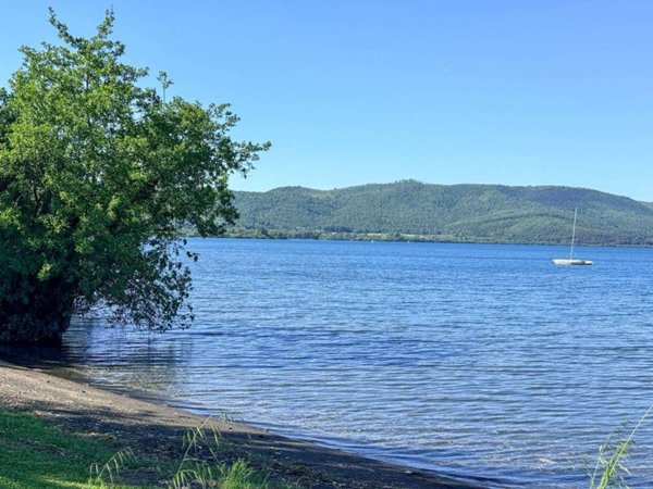negozio in vendita a Bracciano in zona Lungolago