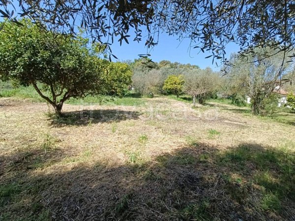 monolocale in vendita a Bracciano