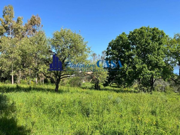 casa indipendente in vendita a Bracciano in zona Vigna di Valle