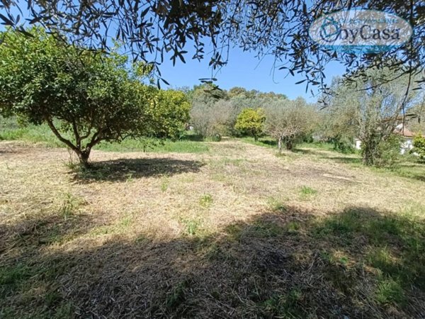 terreno agricolo in vendita a Bracciano