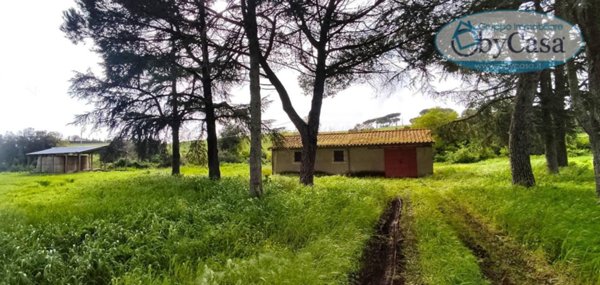 casa indipendente in vendita a Bracciano in zona Castel Giuliano