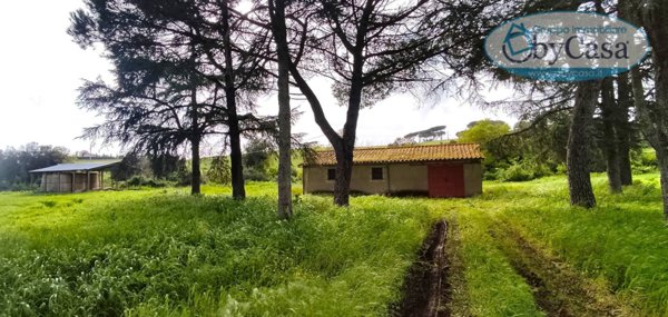 casa indipendente in vendita a Bracciano in zona Castel Giuliano