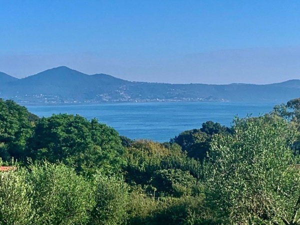 terreno agricolo in vendita a Bracciano