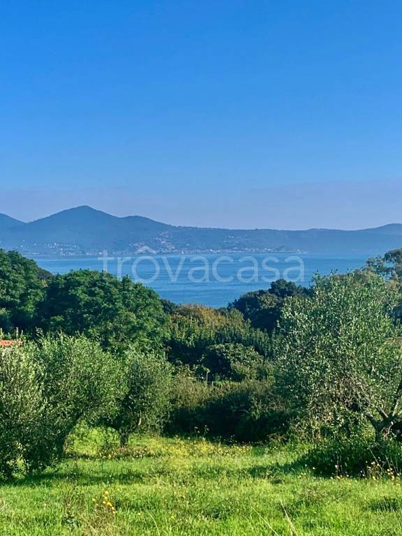 terreno agricolo in vendita a Bracciano