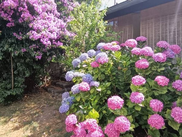 casa indipendente in vendita a Bracciano in zona Vigna di Valle