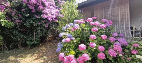 casa indipendente in vendita a Bracciano